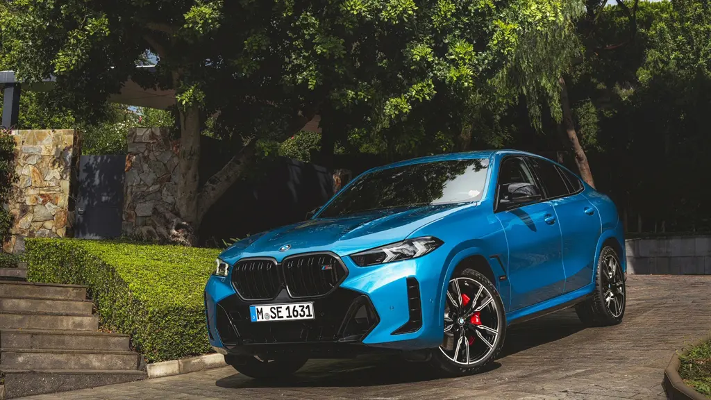 BMW X6
